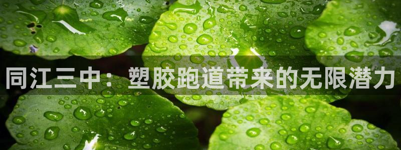 尊龙人生就是博送38