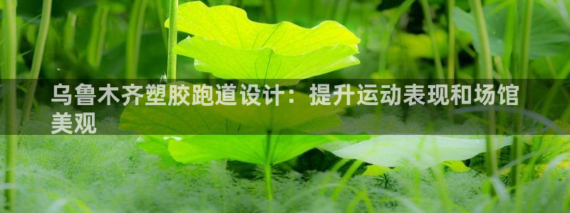 d88尊龙手机客户端下载：乌鲁木齐塑胶跑道设计：提升运动表现和场馆
美观
