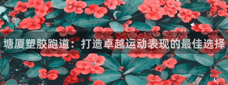 尊龙ag旗舰厅登录 租车app下载：塘厦塑胶跑道：打