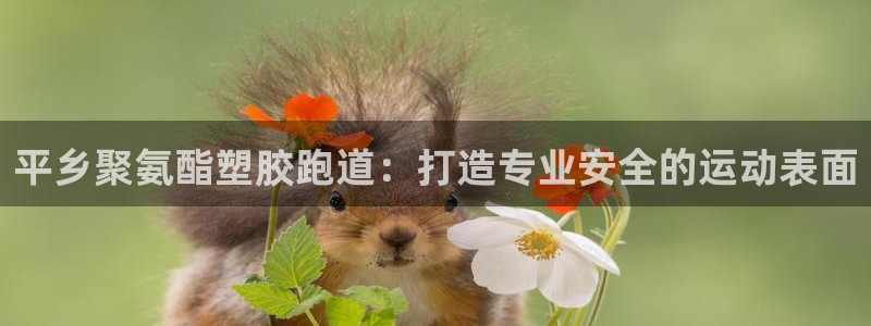 尊龙官网APP下载：平乡聚氨酯塑胶跑道：打造专业安全