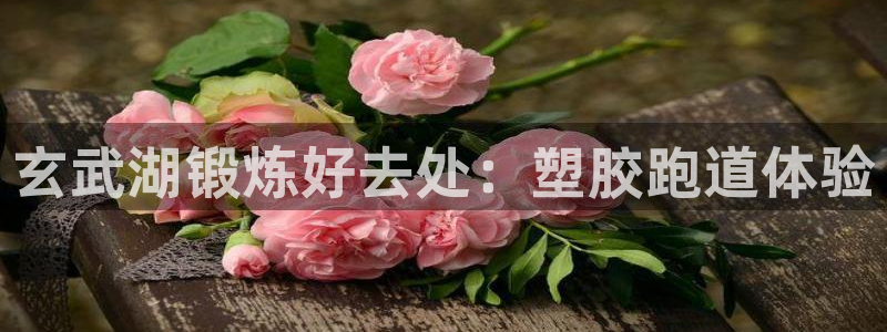 尊龙凯时人生就博