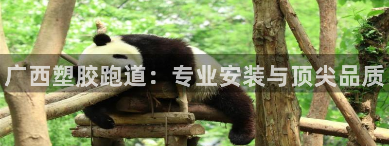 尊龙目前情况