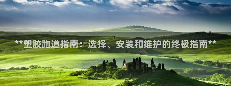 凯时国际app首页下载：**塑胶跑道指南：选择、安装和维护的终极指南**