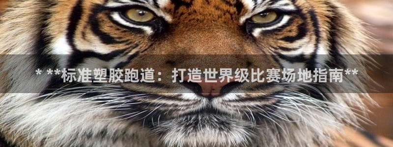 尊龙人生就是博现金