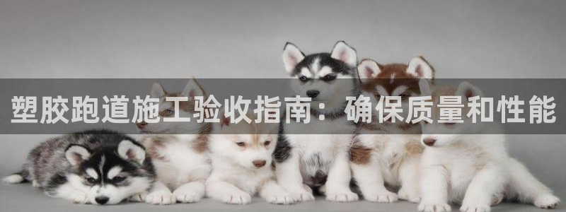 尊龙凯时怎么样没听说过