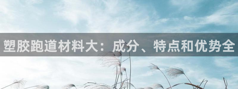 尊龙手机版