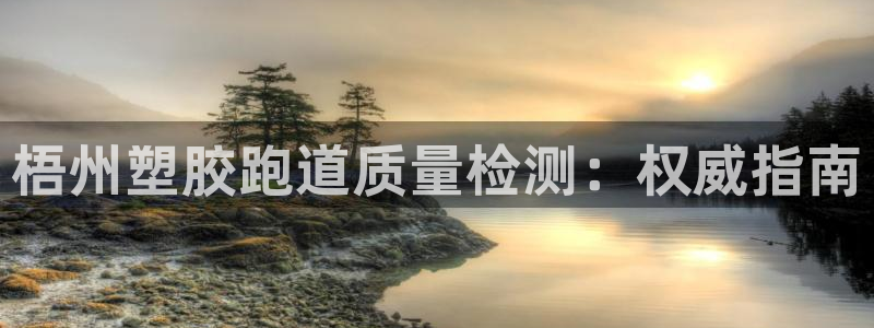 尊龙t400和尊龙t300区别：梧州塑胶跑道质量检测：权威指南