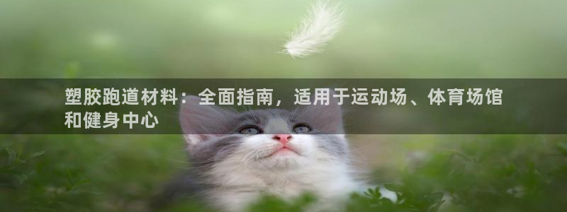 尊龙凯时白家乐：塑胶跑道材料：全面指南，适用于运动场、体育场馆
和健身中心