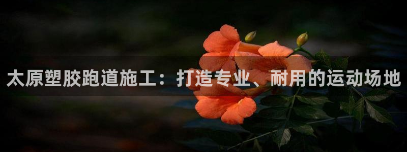 百度一下尊龙：太原塑胶跑道施工：打造专业、耐用的运动场地