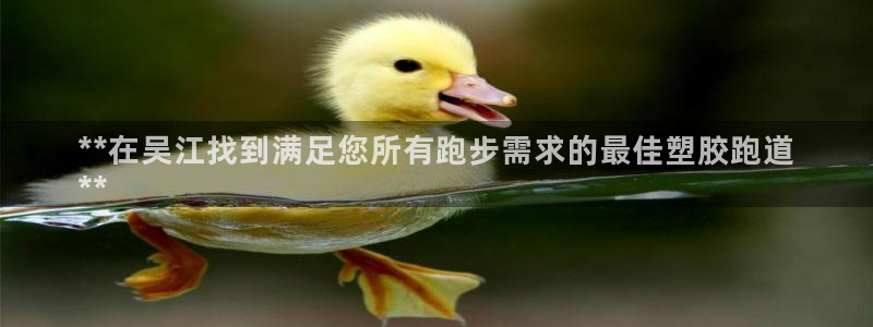 尊龙人生就是博旧版现：**在吴江找到满足您所有跑步需求的最佳塑胶跑道
**