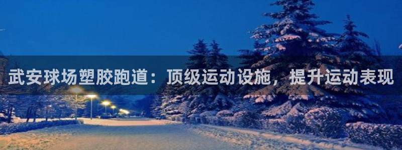尊龙最新版：武安球场塑胶跑道：顶级运动设施，提升运动