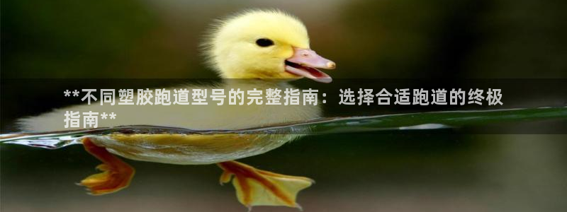 尊龙登录会员登录：**不同塑胶跑道型号的完整指南：选择合适跑道的终极
指南**