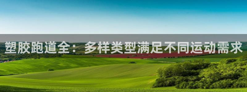 AG尊龙注册在线游戏：塑胶跑道全：多样类型满足不同运动需求