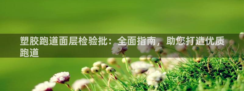 z6尊龙z6：塑胶跑道面层检验批：全面指南，助您打造优质
跑道