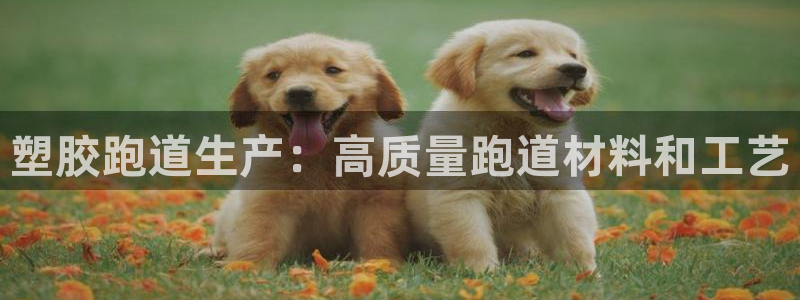 尊龙登录