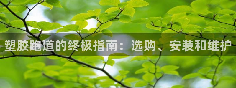 尊龙最经典的三个角色
