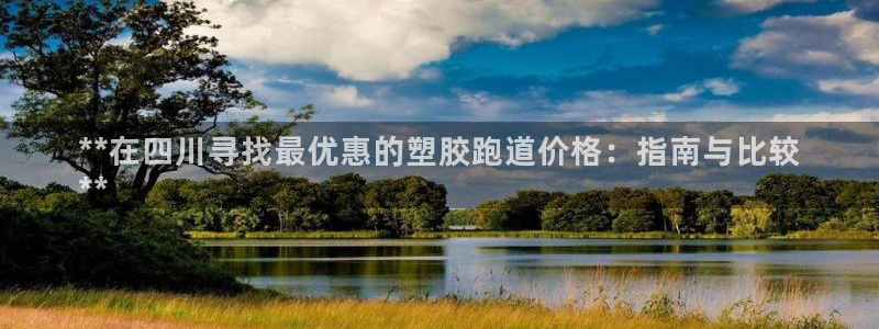 凯时kb88公司简介：**在四川寻找最优惠的塑胶跑道价格：指南与比较
**