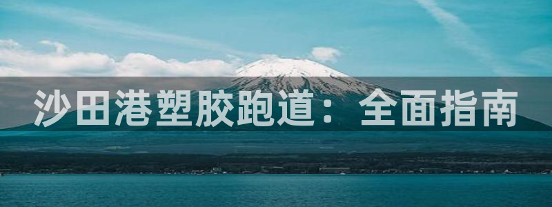 尊龙休闲e站怎么样：沙田港塑胶跑道：全面指南