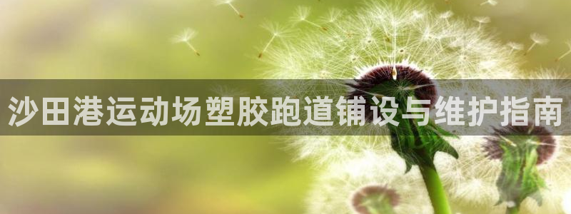 尊龙凯时vip：沙田港运动场塑胶跑道铺设与维护指南