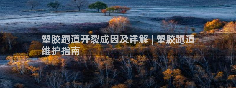 尊龙会ktv价格：塑胶跑道开裂成因及详解 | 塑胶跑道
维护指南