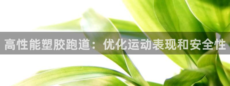 尊龙体育正规么：高性能塑胶跑道：优化运动表现和安全性