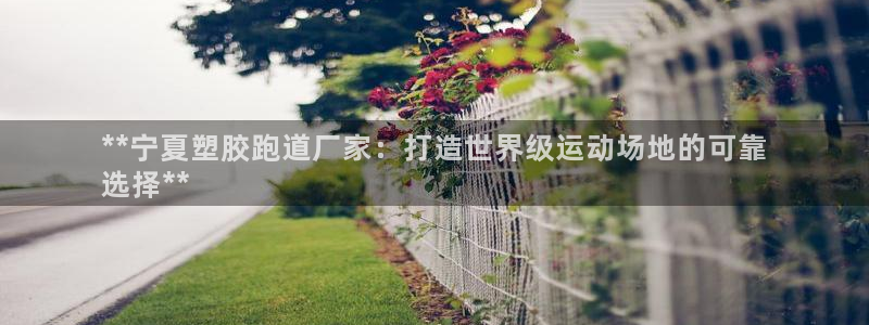 尊龙凯时ag旗舰厅试玩：**宁夏塑胶跑道厂家：打造世界级运动场地的可靠
选择**