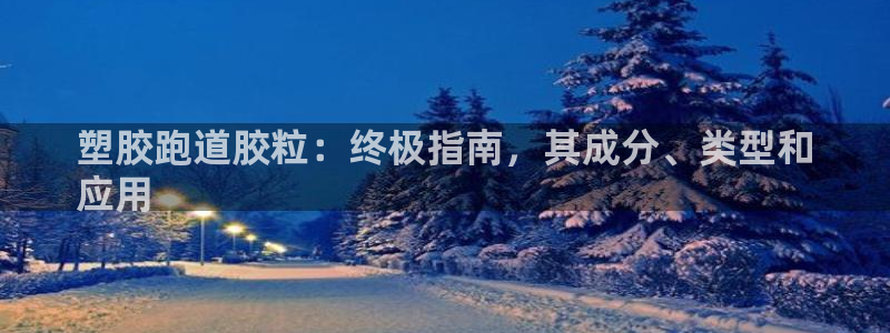 尊龙凯时人生就是搏客户：塑胶跑道胶粒：终极指南，其成