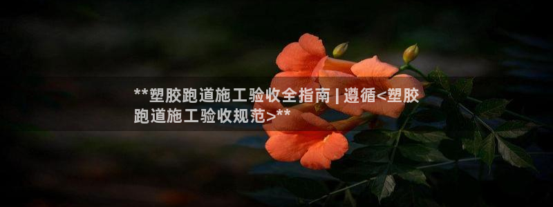 尊龙凯时人生就是博官网登录：**塑胶跑道施工验收全指南 | 遵循<塑胶
跑道施工验收规范>**