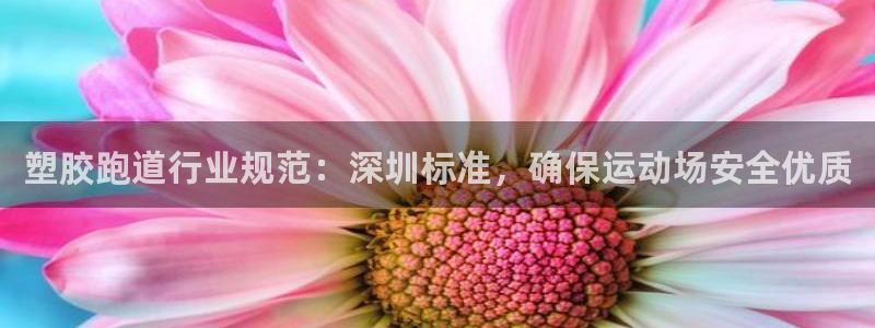 尊龙/人生就是博：塑胶跑道行业规范：深圳标准，确保运动场安全优质