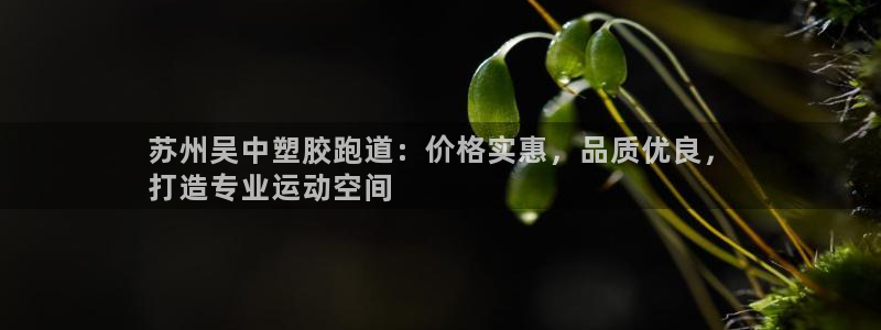 尊龙凯时和九游会哪个平台好一点：苏州吴中塑胶跑道：价格实惠，品质优良，
打造专业运动空间