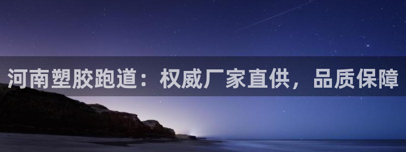 d88尊龙官方网：河南塑胶跑道：权威厂家直供，品质保障