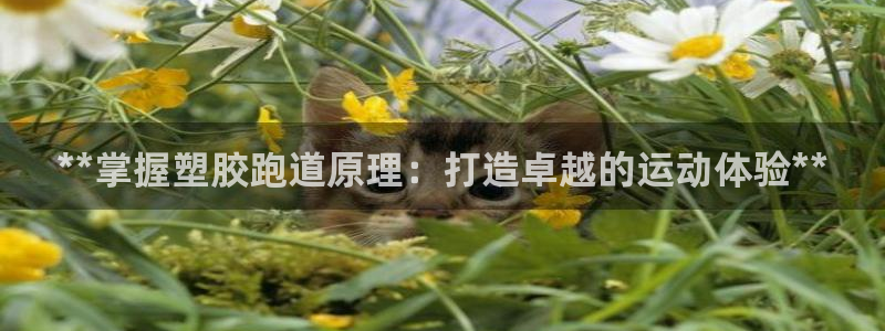 尊龙人生就是博AG：**掌握塑胶跑道原理：打造卓越的运动体验**