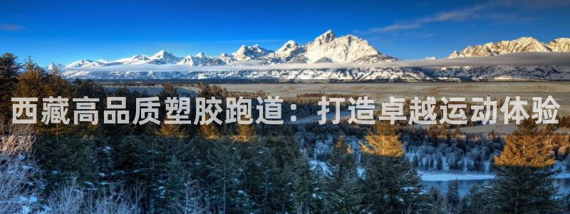 尊龙凯时发展历程：西藏高品质塑胶跑道：打造卓越运动体