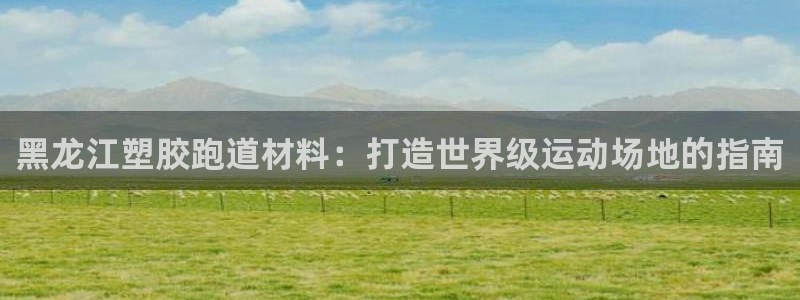 尊龙官方身高：黑龙江塑胶跑道材料：打造世界级运动场地的指南