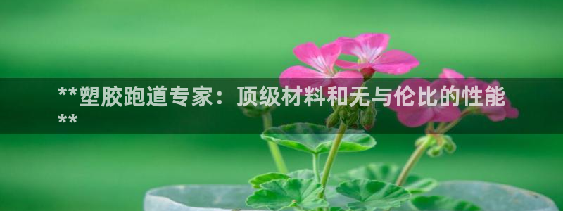 尊龙凯时ag旗舰厅官网客服：**塑胶跑道专家：顶级材料和无与伦比的性能
**