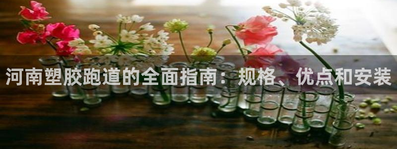 尊龙官方网站是真的吗：河南塑胶跑道的全面指南：规格、优点和安装