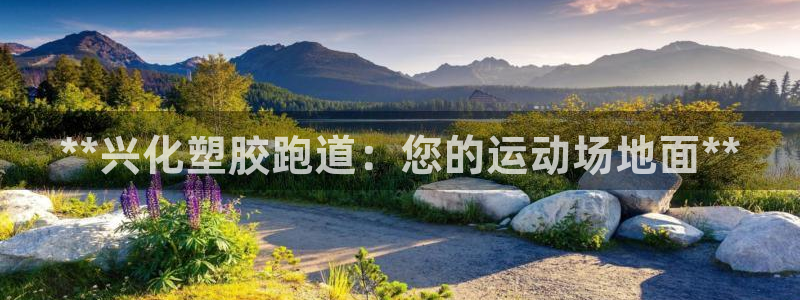 尊龙凯时人生就是博·(中国)官网官：**兴化塑胶跑道
