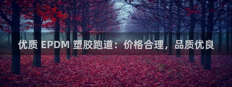 尊龙凯时logo：优质 EPDM 塑胶跑道：价格合理，品质优良
