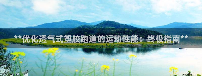 尊龙凯时提不了款：**优化透气式塑胶跑道的运动性能：终极指南**