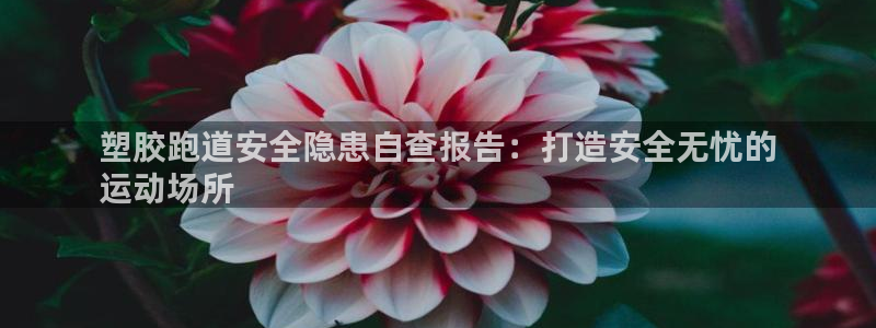 尊龙目前在哪