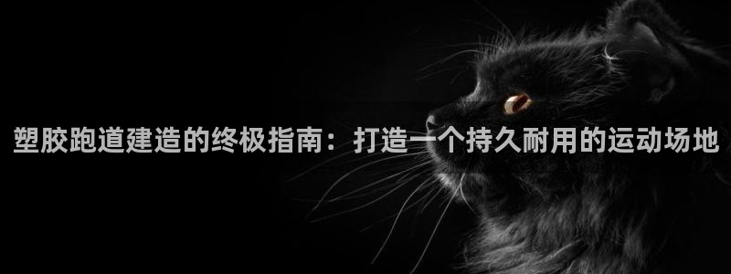 尊龙旗舰厅：塑胶跑道建造的终极指南：打造一个持久耐用的运动场地