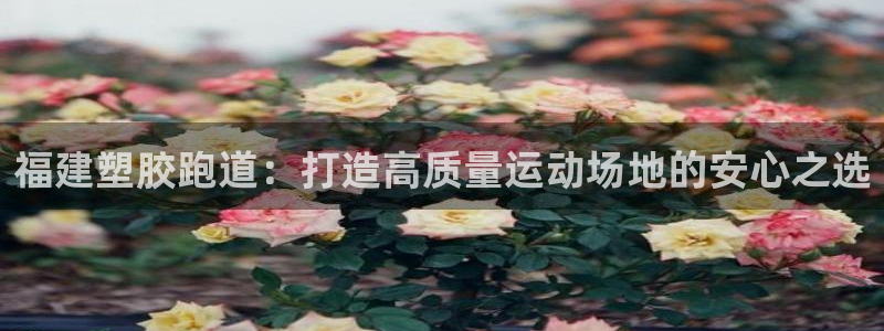 尊龙负面新闻