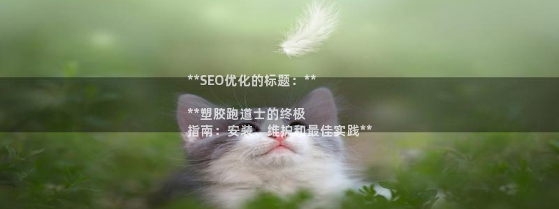 尊龙集团有限公司官网地址：**SEO优化的标题：**

**塑胶跑道士的终极
指南：安装、维护和最佳实践**
