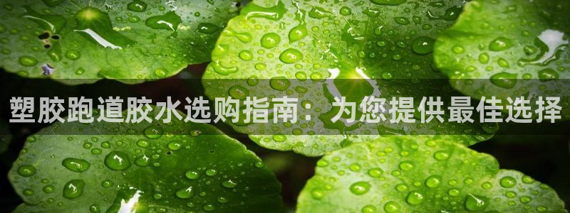 尊龙人生就是博现金：塑胶跑道胶水选购指南：为您提供最佳选择