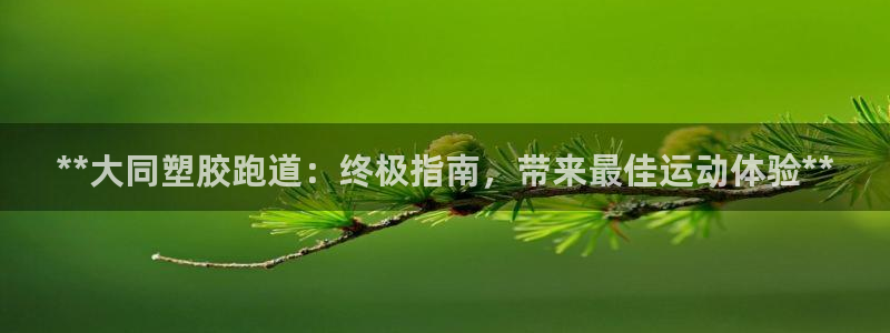 尊龙科技：**大同塑胶跑道：终极指南，带来最佳运动体