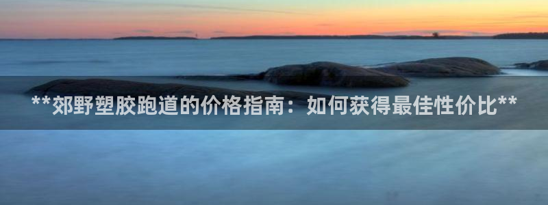 尊龙d88ag官方网站：**郊野塑胶跑道的价格指南：