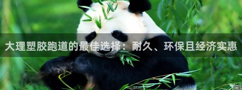 KB88凯时官网：大理塑胶跑道的最佳选择：耐久、环保