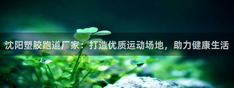 尊龙王t400：沈阳塑胶跑道厂家：打造优质运动场地，助力健康生活