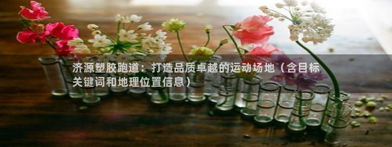 尊龙凯时泰安：济源塑胶跑道：打造品质卓越的运动场地（