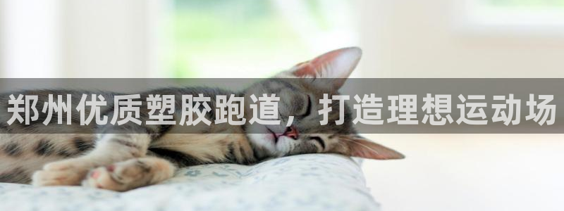 尊龙凯时官方下载：郑州优质塑胶跑道，打造理想运动场